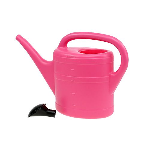 Floristik24 Gießkanne in Pink 5 L