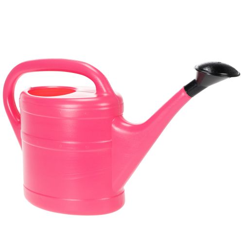 Gießkanne in Pink 5l bestellen | Floristik24.at
