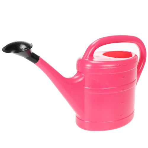 Gießkanne in Pink 5l | Floristik24.at
