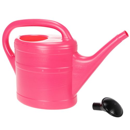 Gießkanne in Pink 5l | Floristik24.at