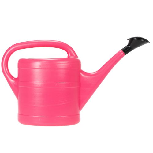 Gießkanne in Pink 5l | Floristik24.at