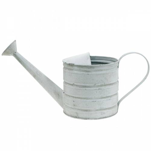 Floristik24 Deko Gießkanne Vintage Metall Pflanzgefäß Weiß gewaschen H16cm