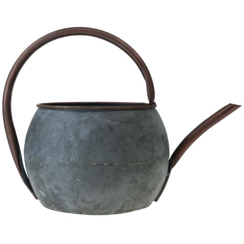 Floristik24 Deko Gießkanne zum Bepflanzen, Pflanzkanne 29,5cm H22cm