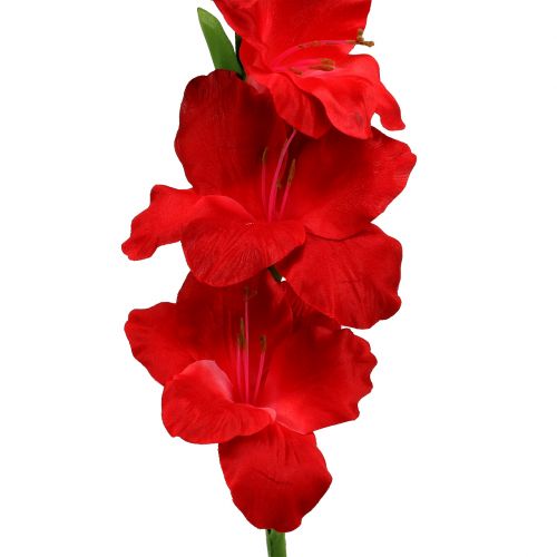Floristik24 Gladiole Rot künstlich 86cm