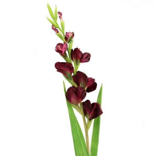 Floristik24 Gladiole Real-Touch Bordeaux 93cm