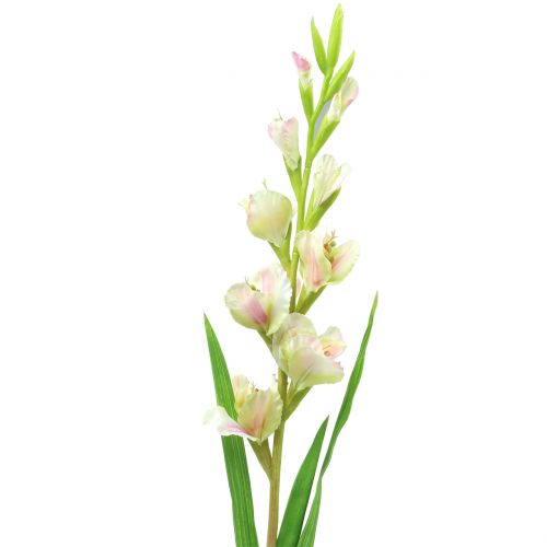 Floristik24 Gladiole Weiß 93cm