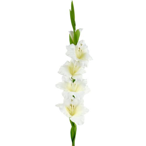 Gladiole Weiss 86cm Kunstlich 43401 05 Einkaufen In Osterreich