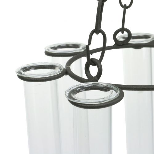 Floristik24 Hängekranz Reagenzglas Ø18cm