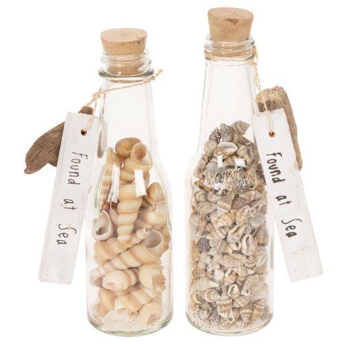 Glasflaschen-Set mit Muschelfüllung und Anhänger, 17 cm, 2 Stück