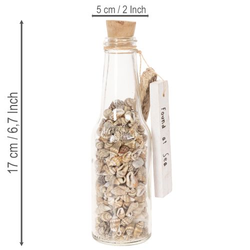 Glasflaschen-Set mit Muschelfüllung und Anhänger, 17 cm, 2 Stück | Floristik24.at