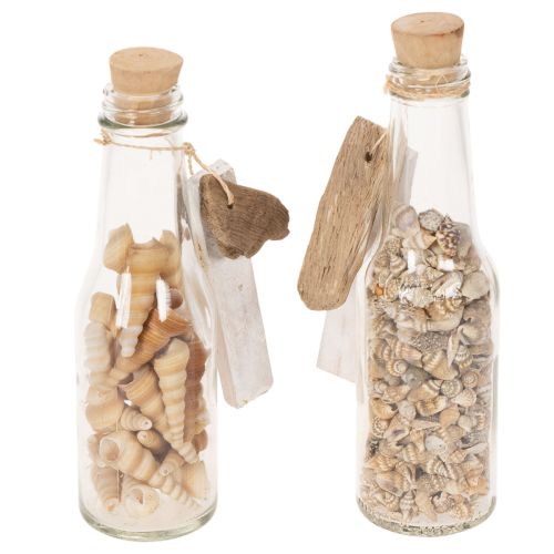 Glasflaschen-Set mit Muschelfüllung und Anhänger, 17 cm, 2 Stück | Floristik24.at