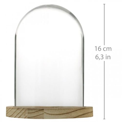 Artikel Dekoglocke, Glaskuppel mit Holzteller, Tischschmuck H16cm Ø12,5cm