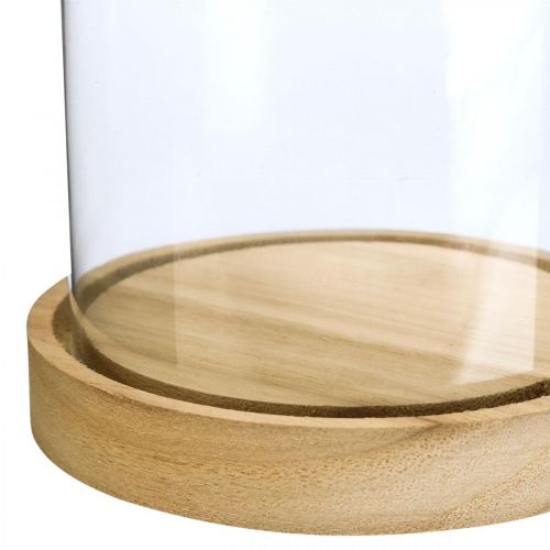 Floristik24 Glasglocke mit Teller, Glaskuppel, Glashaube Deko H21cm
