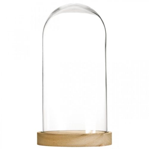 Floristik24 Glasglocke mit Teller, Glaskuppel, Glashaube Deko H21cm