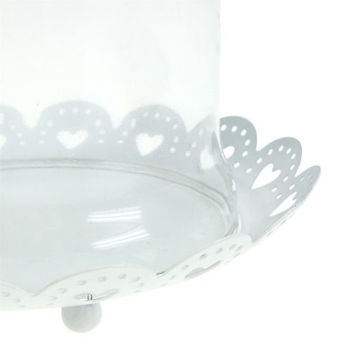 Floristik24 Glashaube mit Teller Ø15,5cm H17cm Weiß
