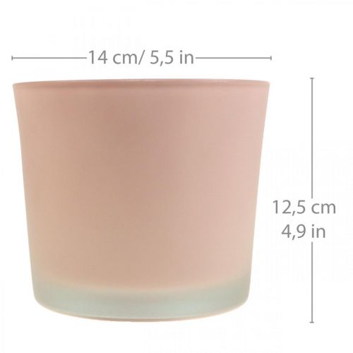 Artikel Blumentopf Glas Übertopf Rosa Glaskübel Ø14,5cm H12,5cm