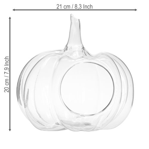Artikel Glaskürbis mit Öffnung Herbstdeko Kürbis Klar Ø21cm H20cm