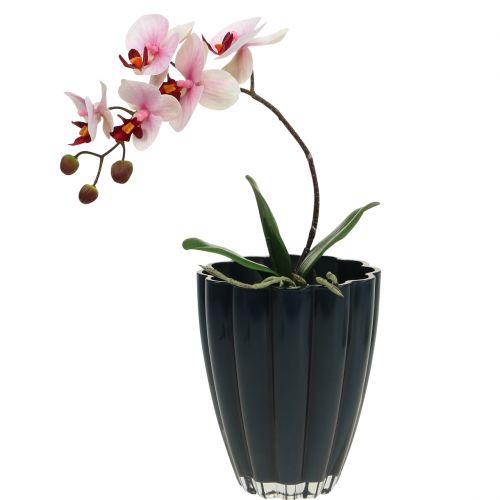 Floristik24 Glasvase „Bloom" Dunkelblau Ø14cm H17cm