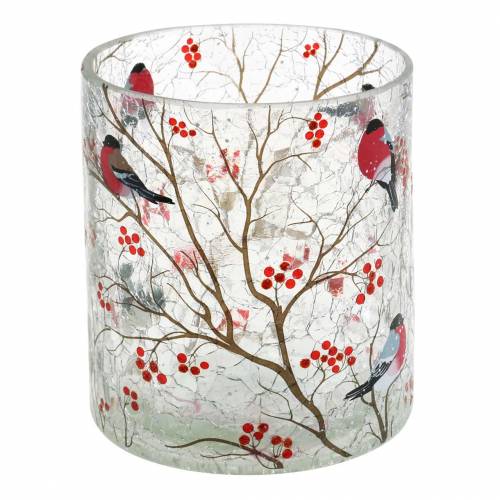Floristik24 Windlicht Dompfaff Crackle Klar Ø9cm H10cm