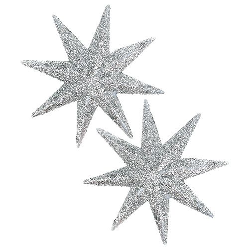 Floristik24 Glitterstern Silber Ø10cm 12St