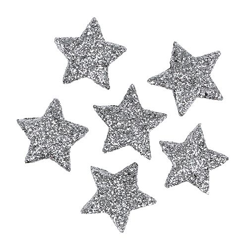 Floristik24 Glitterstern Silber Ø2,5cm 48St