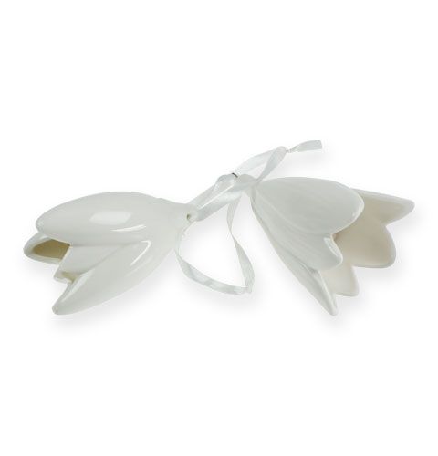 Floristik24 Glockenblume Weiß zum Hängen 9cm, 10cm 2St
