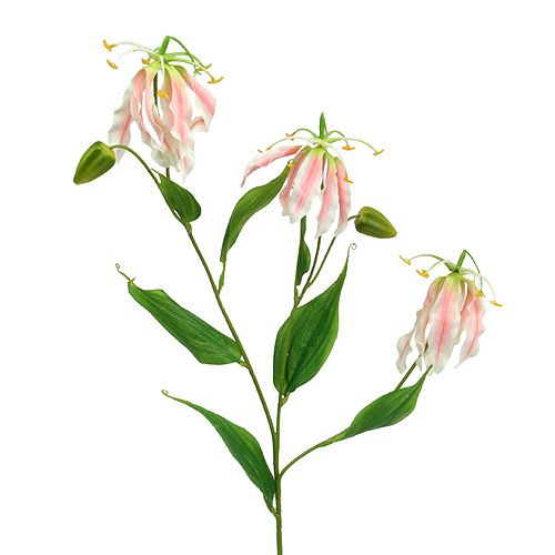 Floristik24 Gloriosa Rosa-Weiß künstlich 84cm 3St