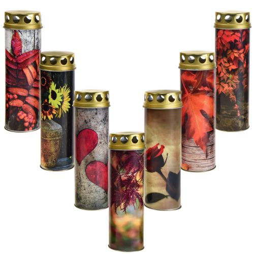 Floristik24 Grabkerzen Trauerkerzen Herbst Motive Farbe Ø6cm H20cm 6St