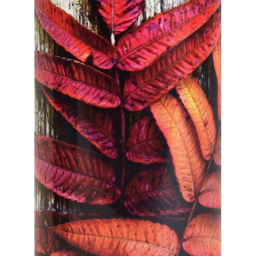 Floristik24 Grabkerzen Trauerkerzen Herbst Motive Farbe Ø6cm H20cm 6St