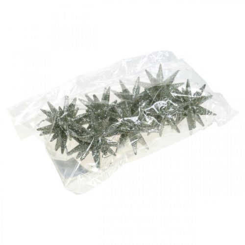 Floristik24 Glizersterne 7,5cm champagner 8St