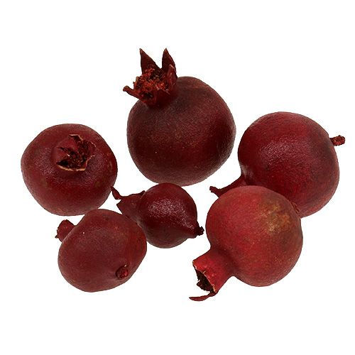 Floristik24 Granatäpfel 250g