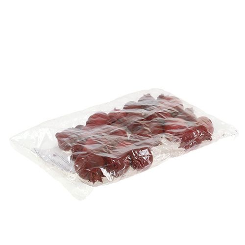 Floristik24 Granatäpfel 250g
