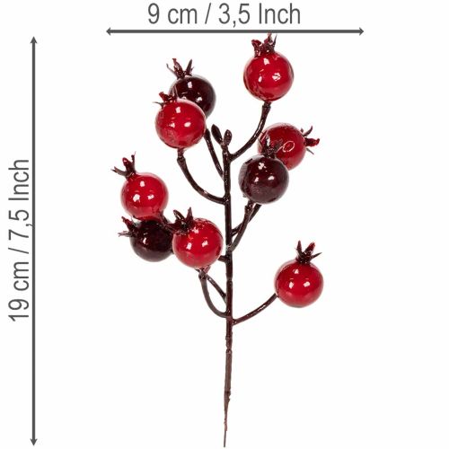 ProductNameKünstliche Granatapfelzweige 19 cm, rot, 4 Stück für Vase und Gestecke/ProductName
ProductDescription<h2>Künstliche Granatapfelzweige für Vase und Dekoration zu Hause</h2>
<p>Dieses Set enthält vier künstliche Granatapfelzweige mit verzweigten | Floristik24.at