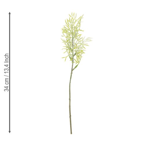Artikel Zierspargel Zweig naturnahe Ergänzung für Blumensträuße 34cm 7St