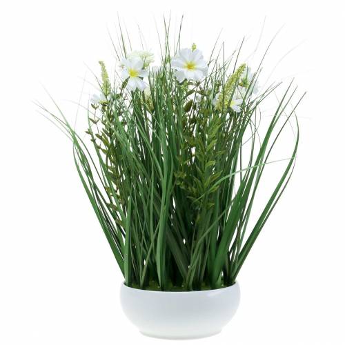 Floristik24 Deko Gras mit Cosmea-Blüten in Schale H45cm