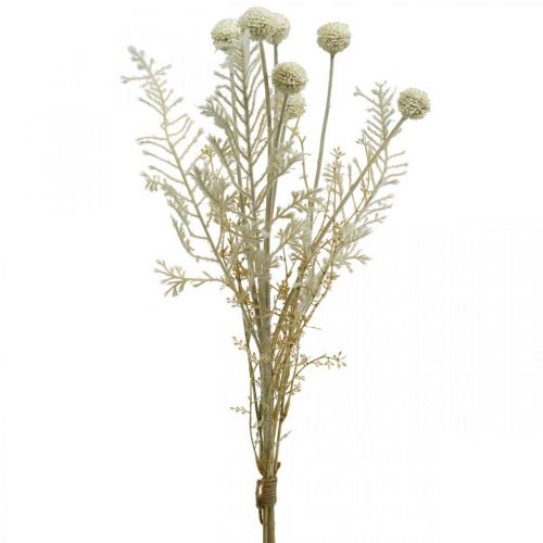 Floristik24 Trockengräser künstlich Pampasgras Allium Crème, Beige H60cm