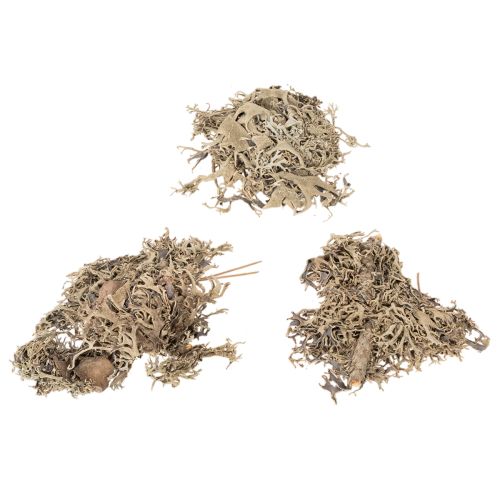 Dekomoos Graumoos 500 g für Bastelarbeiten und Dekorationen | Floristik24.at