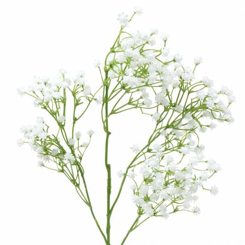 Floristik24 Schleierkraut Gypsophila Weiß 66cm