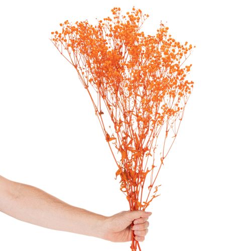 Schleierkraut Trockenblumenstrauß Gypsophila Orange 75 cm 100 g | Floristik24.at