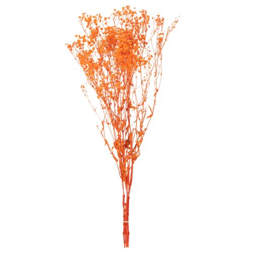 Schleierkraut Trockenblumenstrauß Gypsophila Orange 75 cm 100 g | Floristik24.at