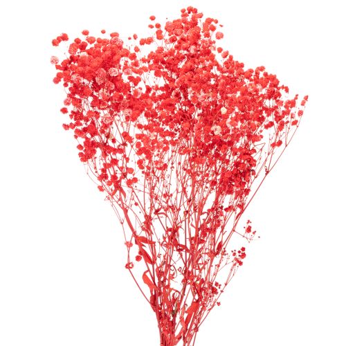 Trockenblumen Schleierkraut Rot 75cm 100g für Wohnraumdekoration