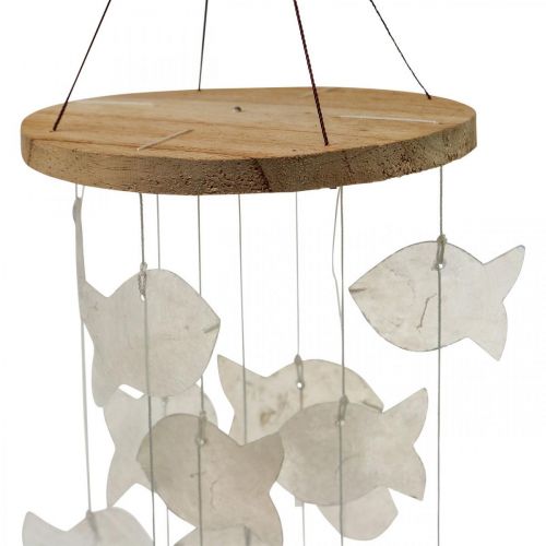 Artikel Hängedeko Muscheln Capiz Windspiel Garten Ø12cm L49cm
