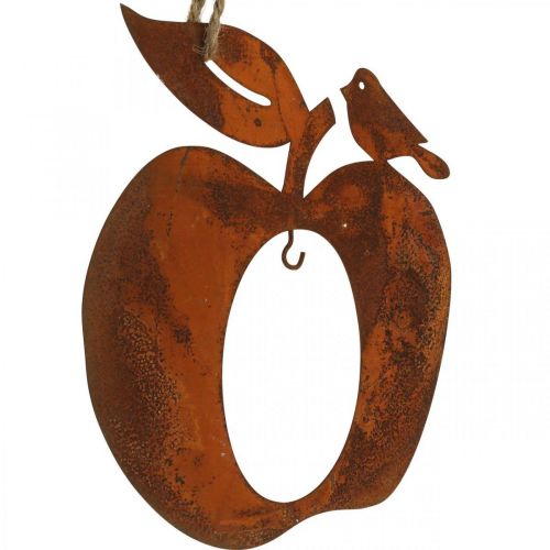 Floristik24 Dekohänger Metall Apfel Birne Edelrost Deko 23/24cm 2St