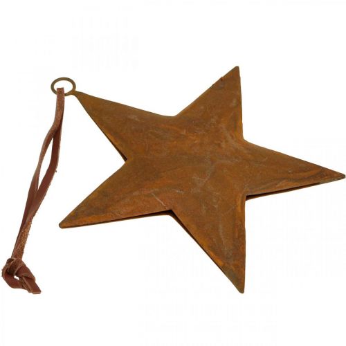 Floristik24 Weihnachtsanhänger Stern Metallstern Rost Optik H13,5cm
