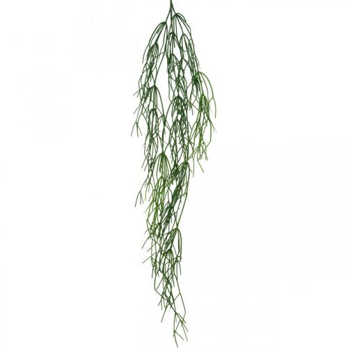 Floristik24 Deko-Ranken, Korallenkaktus, künstlicher Rhipsalis-Hänger Grün L120cm