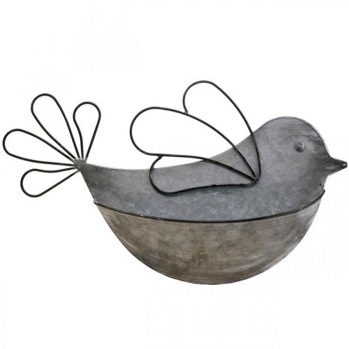 Floristik24 Hängetopf Metall Vogel Wand Blumentopf zum Hängen 34×22cm