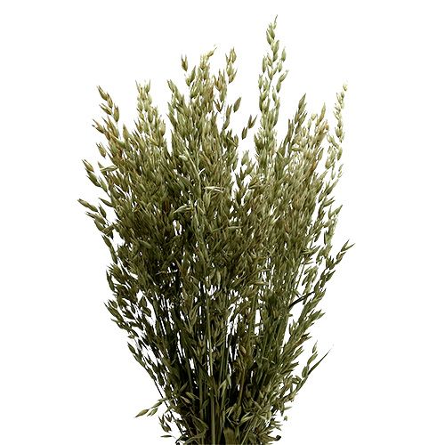 Haferbund natur 1Bund Deko-Hafer
