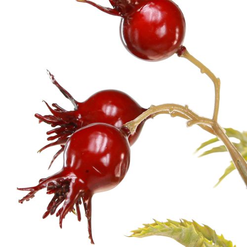Floristik24 Hagebutten künstlich Dekozweige mit 7 Früchten Dunkelrot 48cm