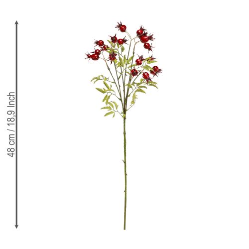 Floristik24 Hagebutten künstlich Dekozweige mit 7 Früchten Dunkelrot 48cm