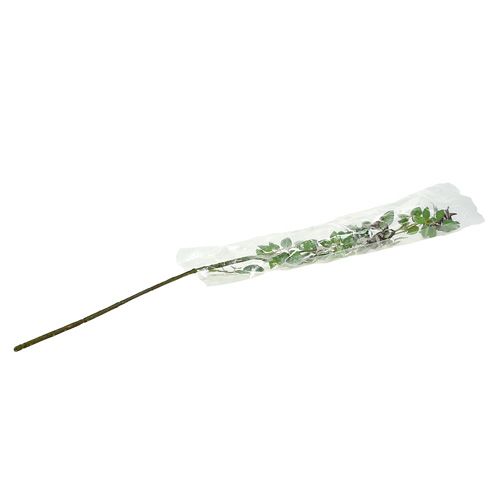 Floristik24 Hagebuttenzweig L92cm mit Schnee